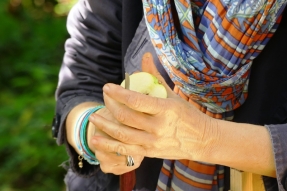 Il fallait y penser et avoir de l'idée avec le Festival des Solutions Ecologiques de la Région BFC !